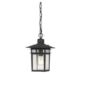 Cove Outdoor Pendant